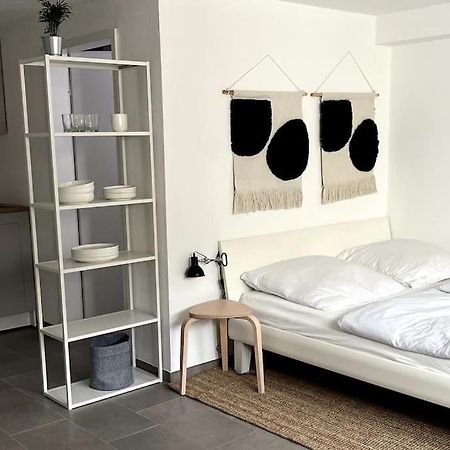 1-Zimmer-Apartment Am Bodensee 于伯林根 外观 照片