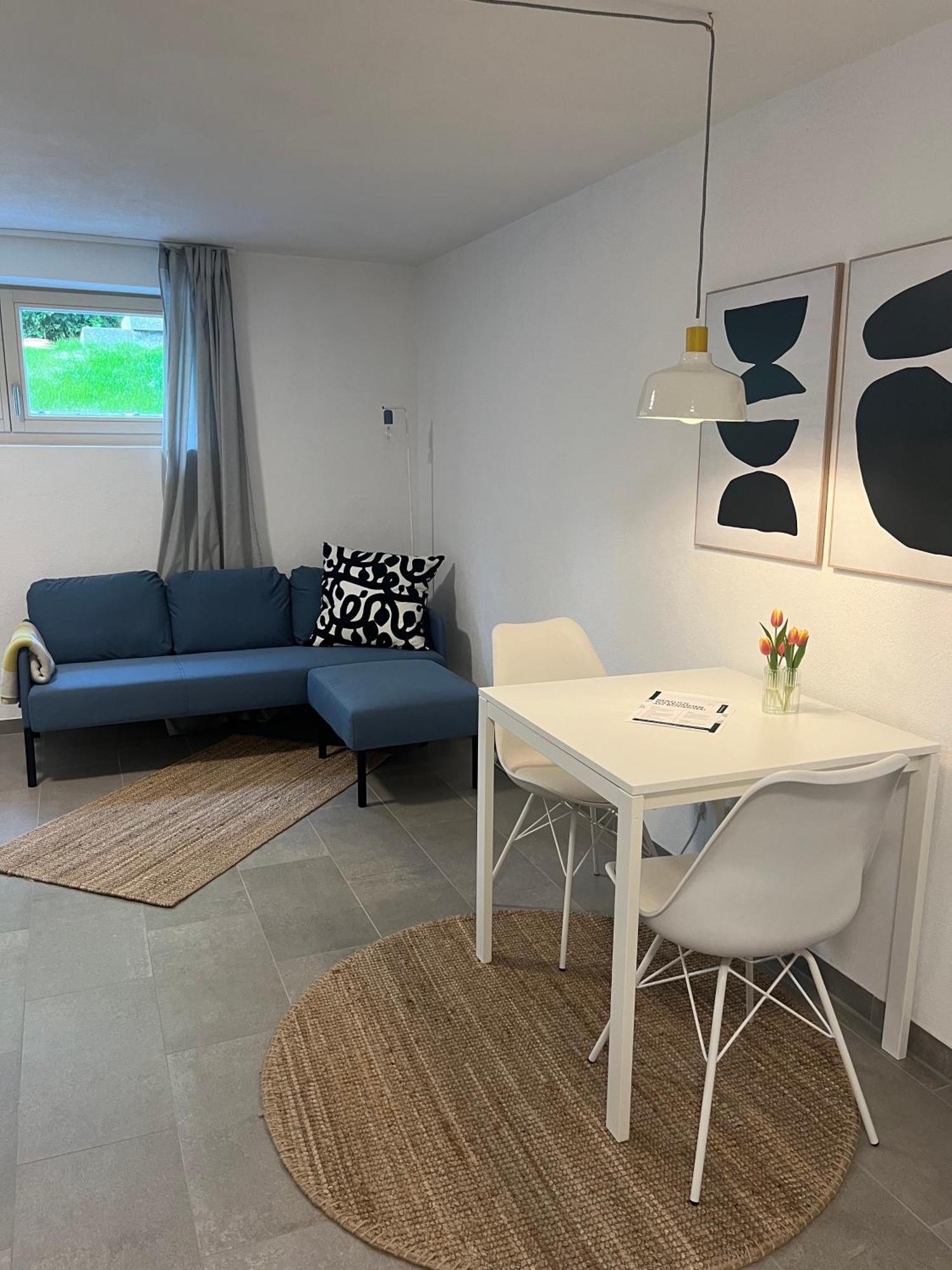1-Zimmer-Apartment Am Bodensee 于伯林根 外观 照片